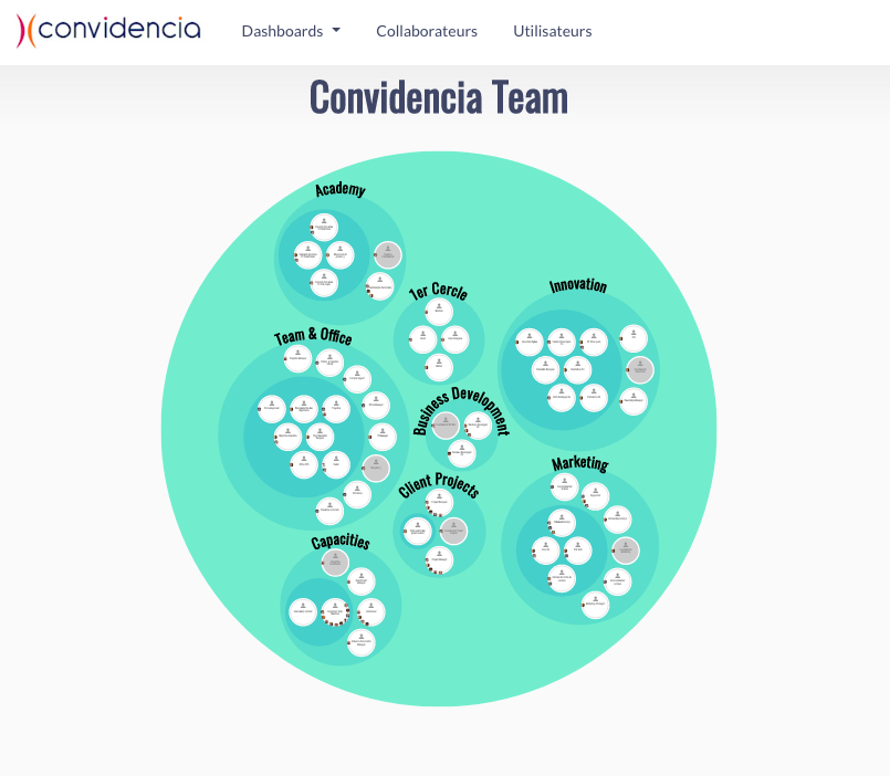 Convidencia développe sa propre application: Holarchic Designer!